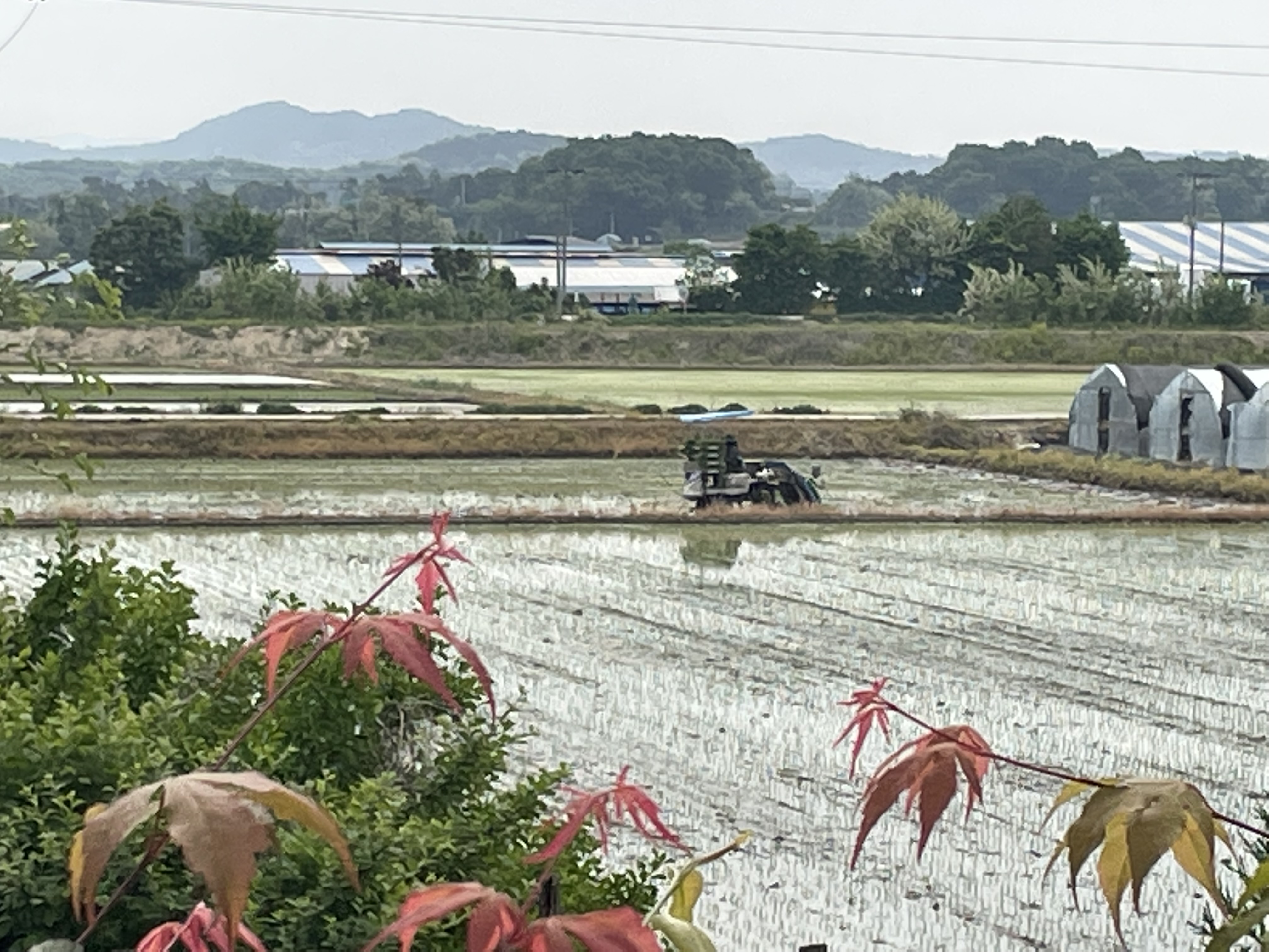  이주노동자(외국인근로자) 숙식비 사전공제 논란