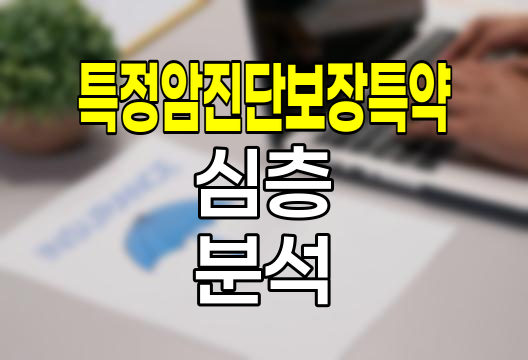 현대해상 특정암진단보장특약 심층 분석