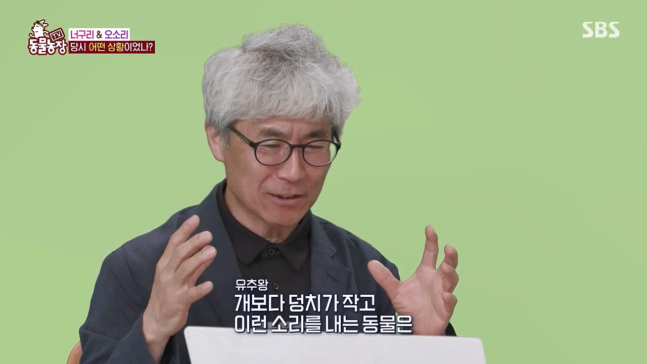 TV 동물농장.E1172.240520p-NEXT.mp4_20240519_163631.257.jpg