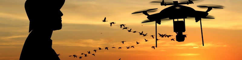 드론은 야생 동물 연구에도 사용됩니다.