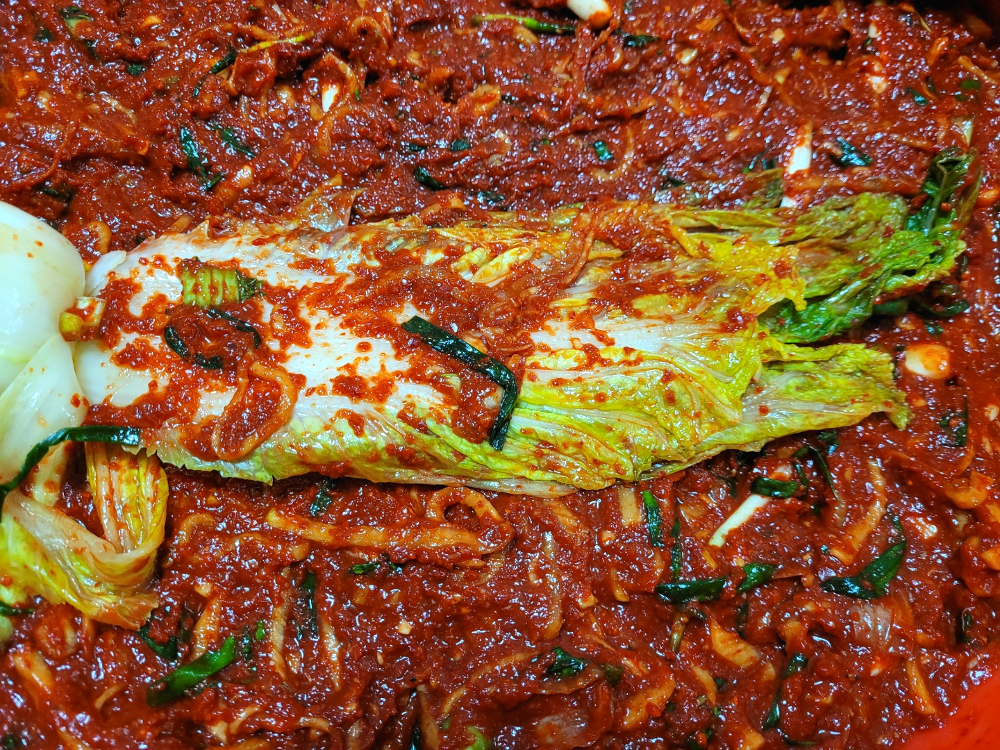 김장김치 맛있게 담그는  법, 김장김치 20kg 기준 양념 황금 비율.