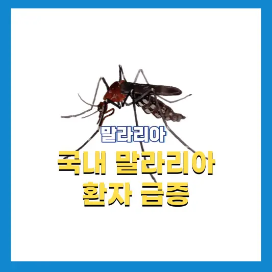 국내-말라리아-환자수-급증