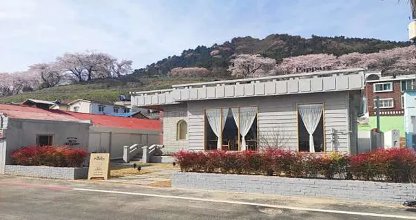 파파레