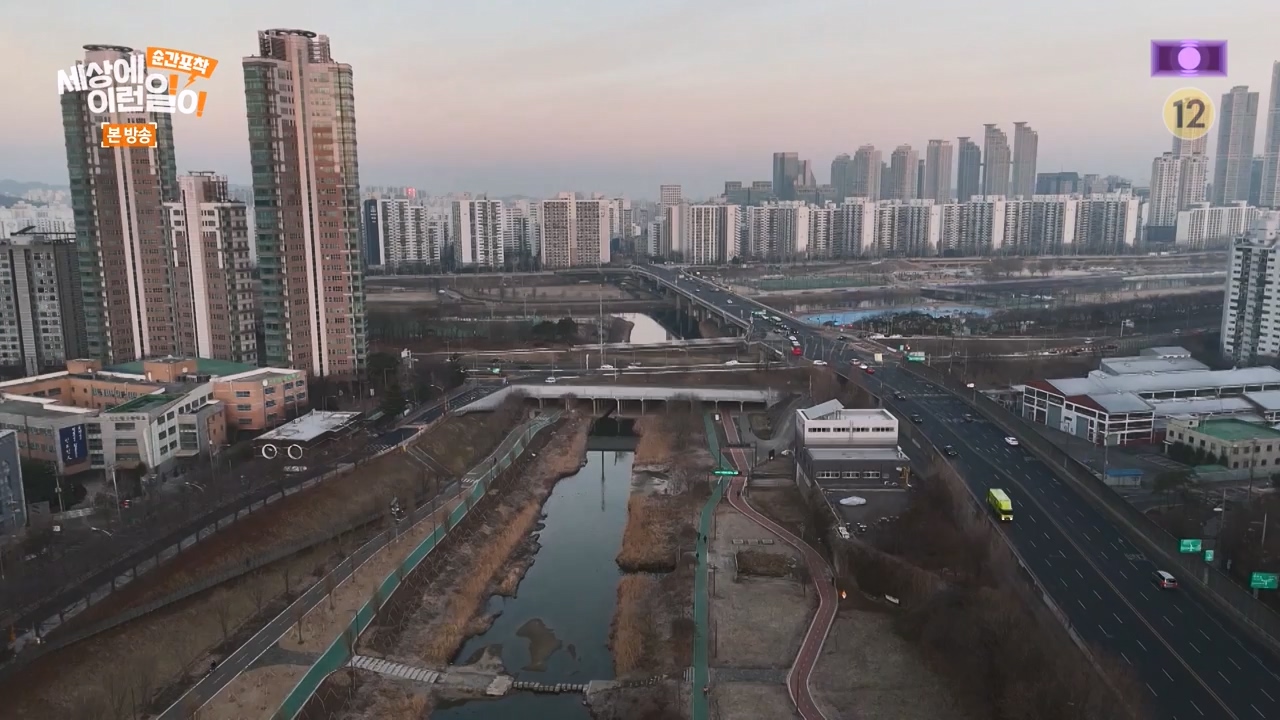 순간포착 세상에 이런일이.E1267.240303p-NEXT.mp4_20240303_163248.879.jpg