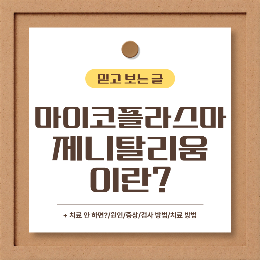  마이코플라즈마 제니탈리움이란?