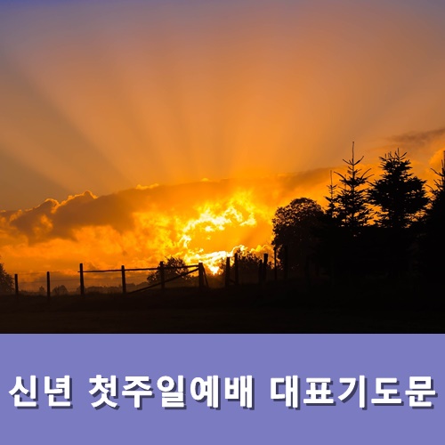  신년 첫주일예배 대표기도문 모음