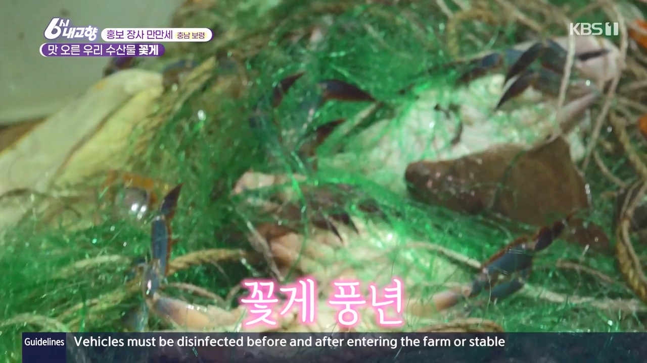 6시 내고향.E7910.231032p-NEXT.mp4_20231101_204604.814.jpg