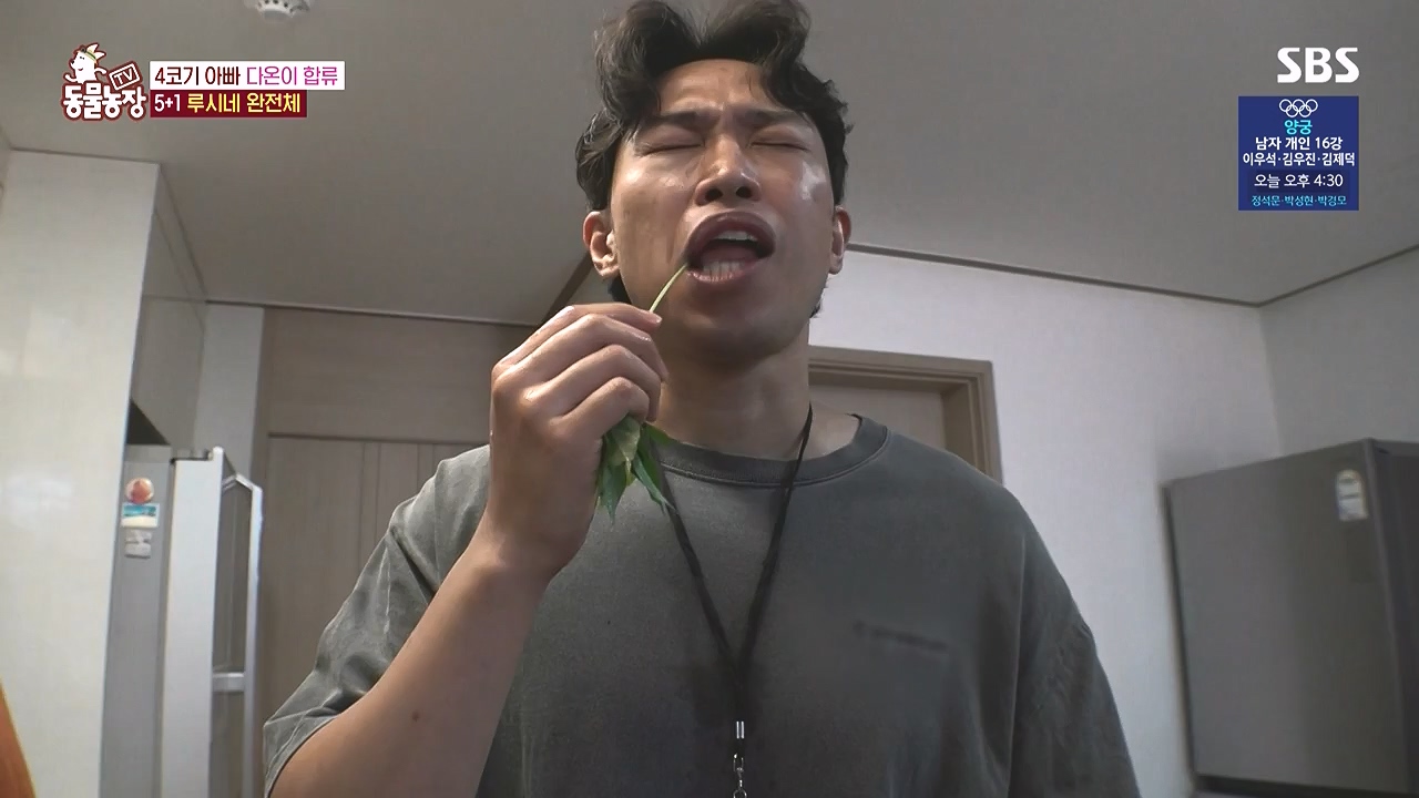 TV 동물농장.E1183.240805p-NEXT.mp4_20240804_154933.812.jpg