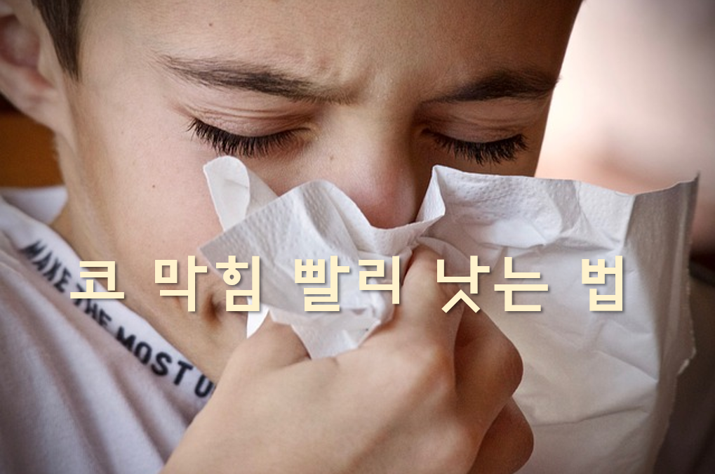  코 막힘 빨리 낫는 법과 코 막힘 약 효과