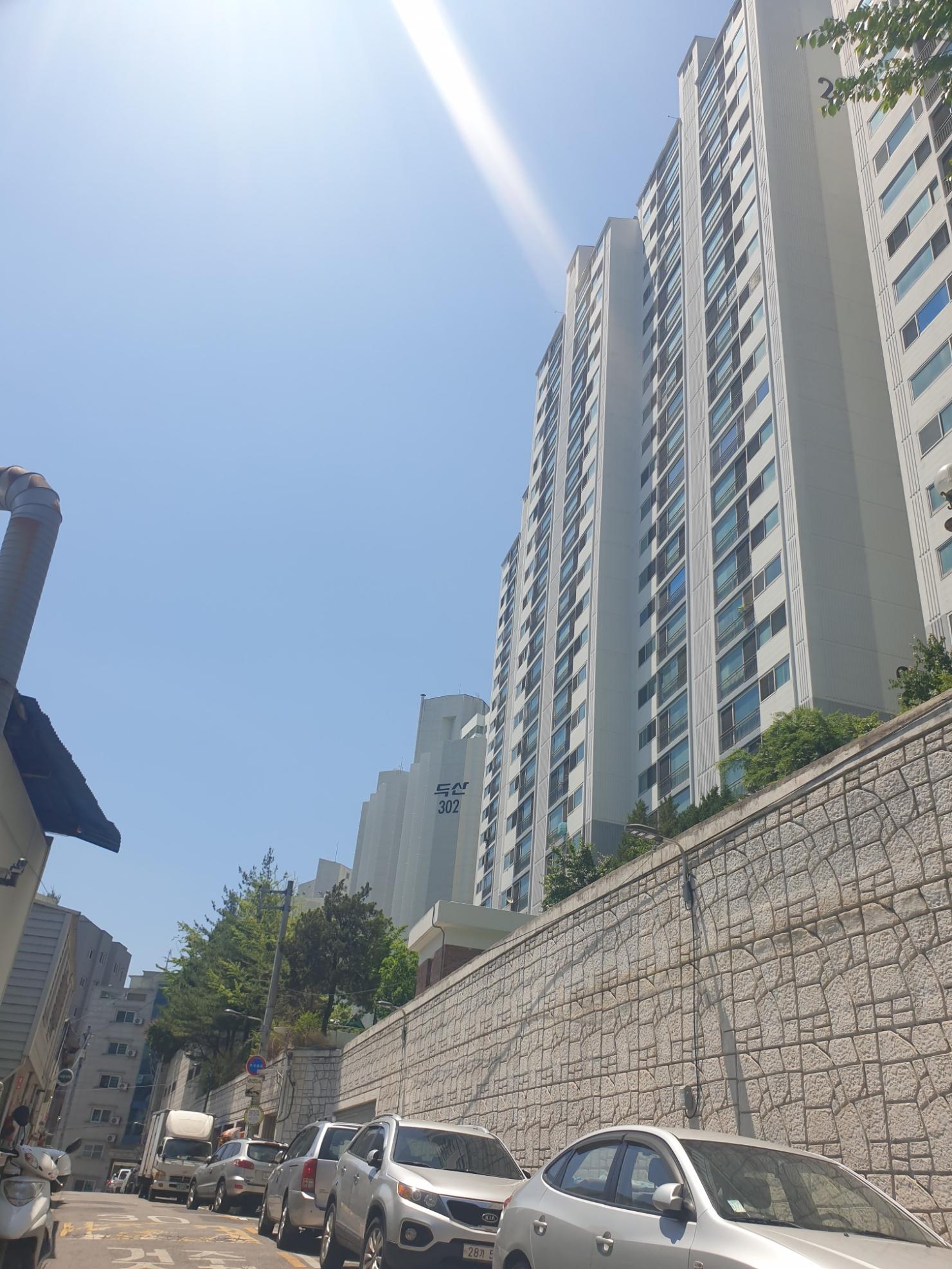 현대공판장 이미지