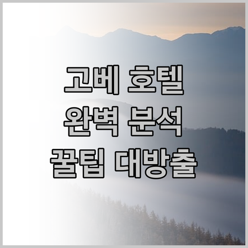 고베 호텔 완벽 분석! 위치, 청결,