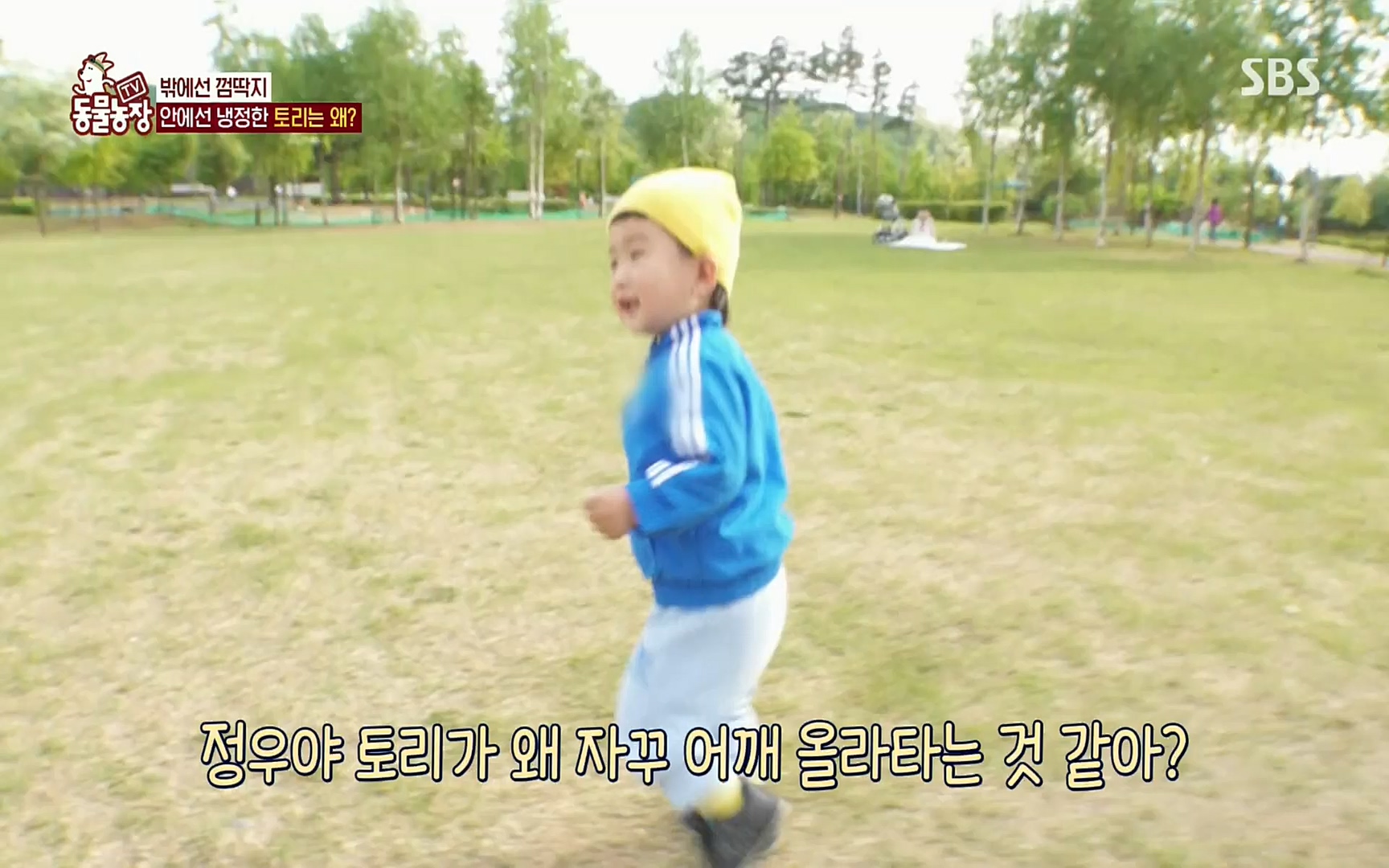 TV 동물농장.E1072.220605p.H264-F1RST.mp4_20220605_181423.136.jpg