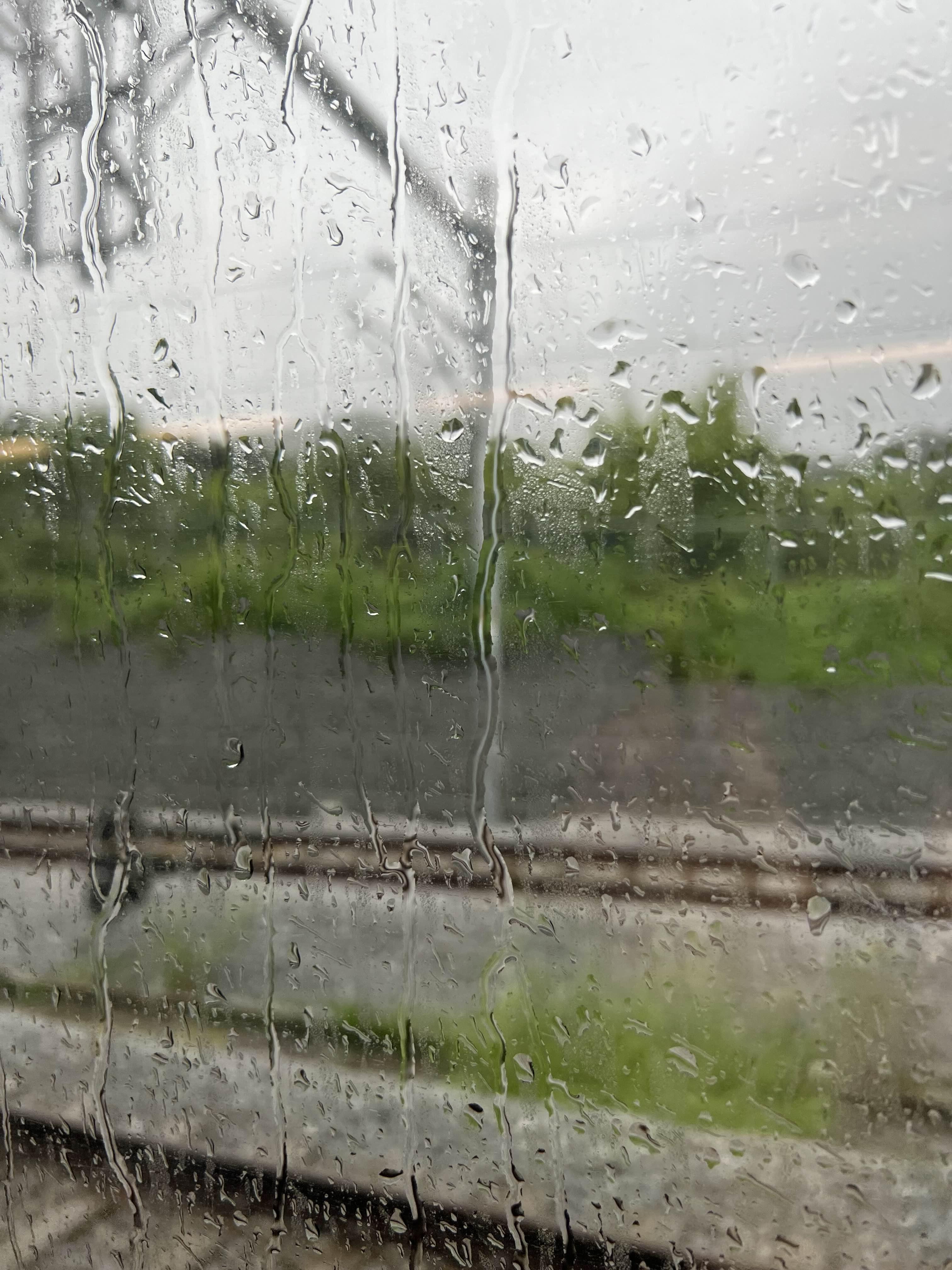  만종 - 서울 ktx 후기