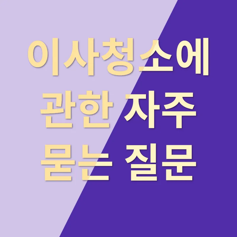 테무 쇼핑_4