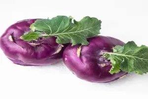 콜라비