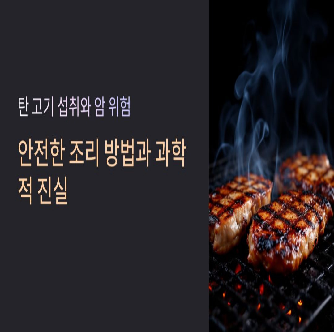 탄 고기 섭취와 암 위험 및 안전한 조리 방법