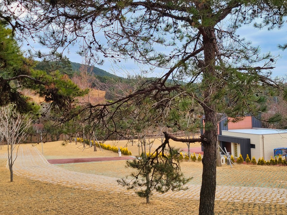 고성가볼만한곳 상족암 군립공원 3