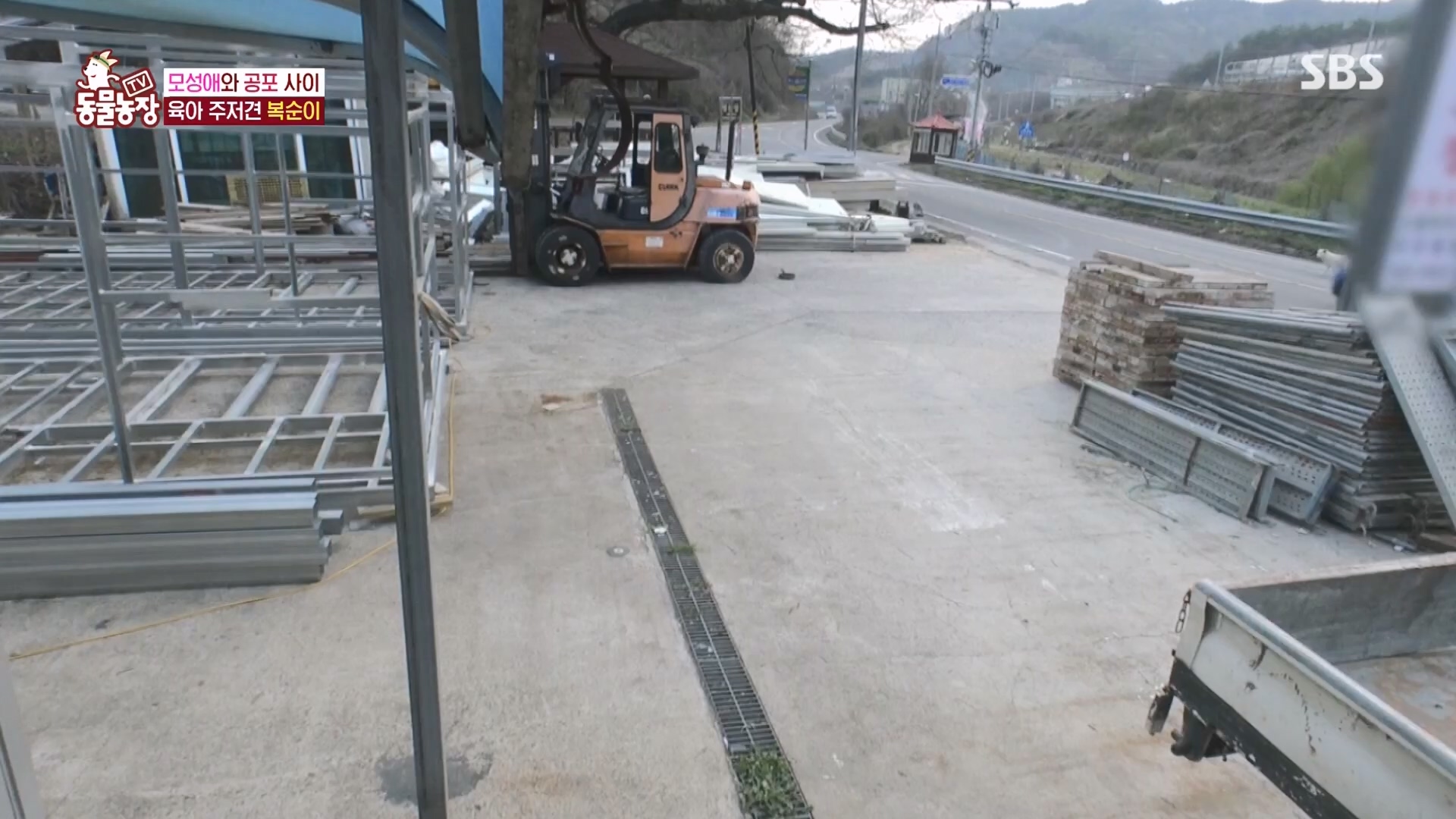 TV 동물농장.E1118.230423p.H264-F1RST.mp4_20230423_181110.705.jpg