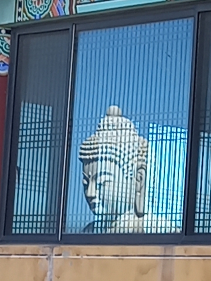 img.jpg
