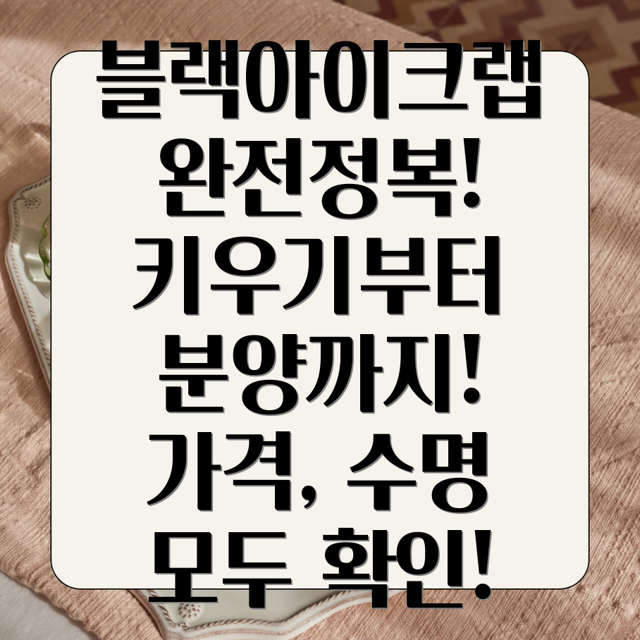 블랙아이크랩 키우기