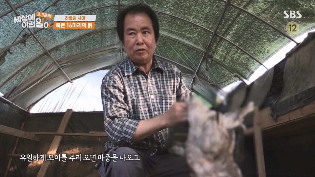 순간포착 세상에 이런일이.E1231.230604p-NEXT.mp4_20230609_202232.851.jpg