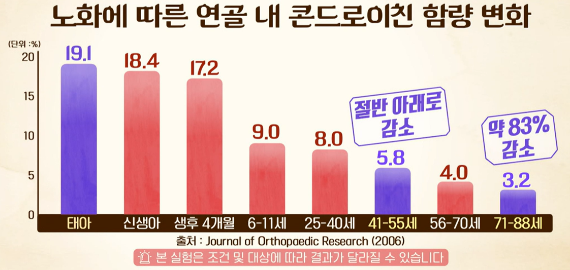 콘드로이친