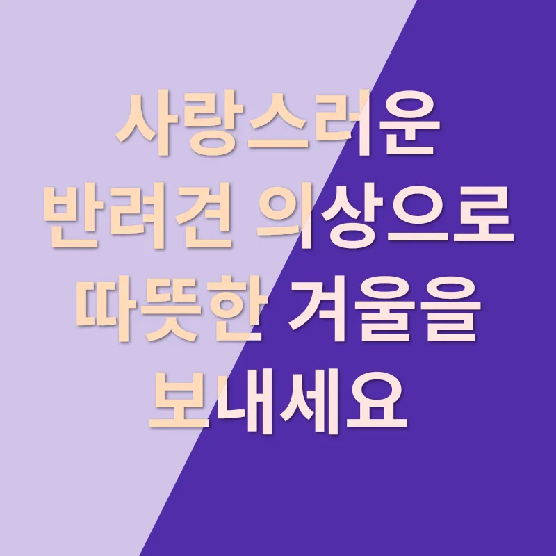 반려견 커플룩_1