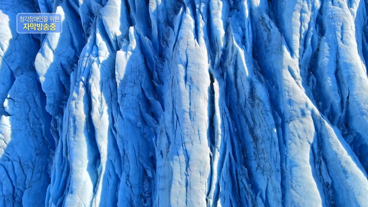 KBS 대기획 3부작 빙하.E01.240308p-NEXT.mp4_20240310_145926.956.jpg