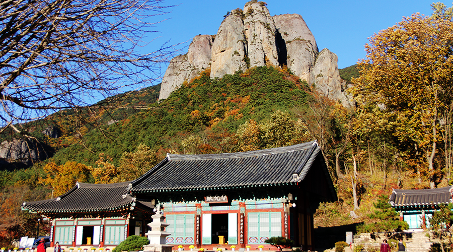 청송