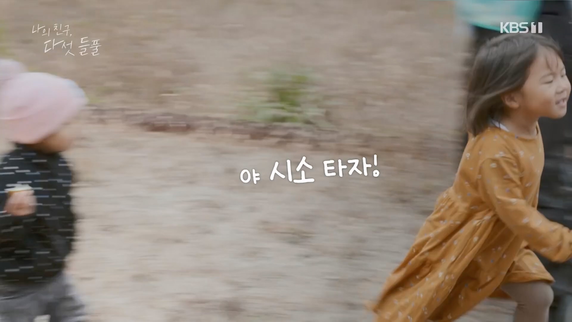 특집 다큐 나의 친구, 다섯 들풀.240119p.H264-F1RST.mp4_20240121_151730.717.jpg