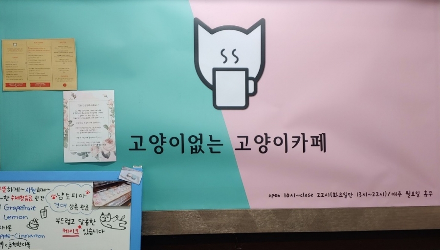 고양이없는 고양이카페 냥토피아
