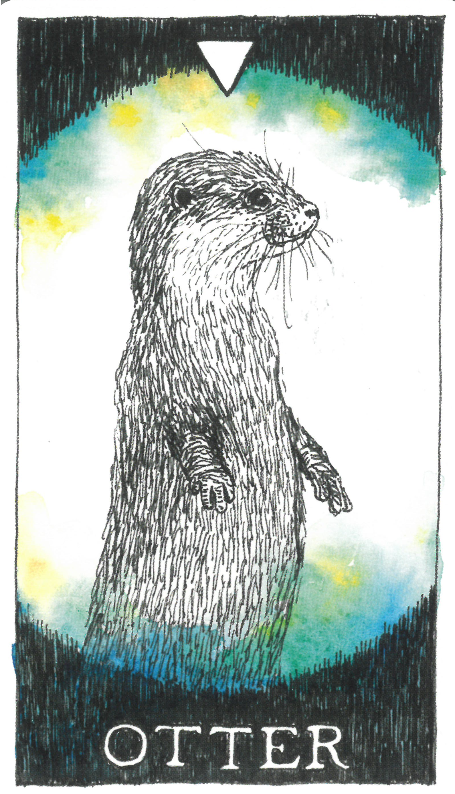 The Wild Unknown Animal Spirit Otter 수달