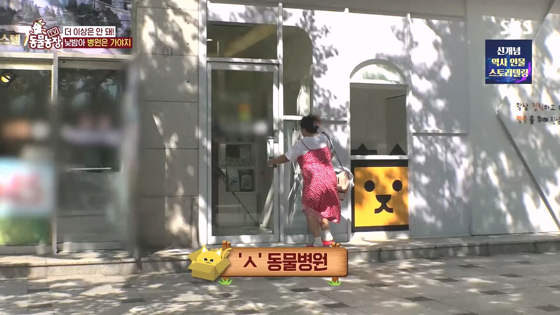 TV 동물농장.E1136.230903p.H264-F1RST.mp4_20230903_180358.963.jpg