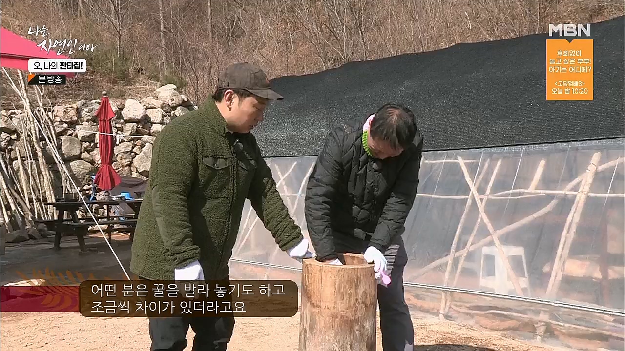 나는 자연인이다.E546.230323p.H264-F1RST.mp4_20230323_201548.101.jpg