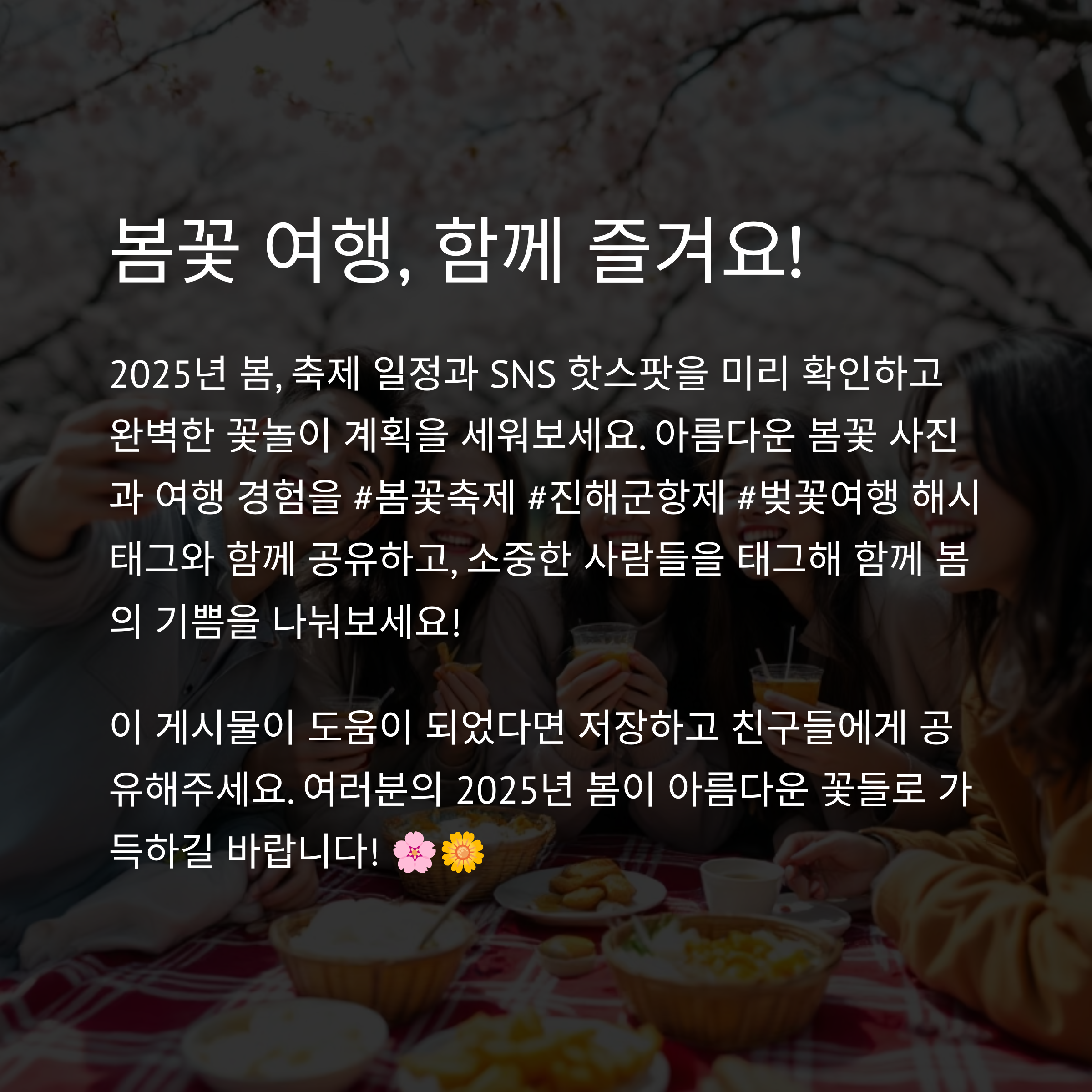 2025년 봄꽃 여행 시 알아두면 좋은 꿀팁 모음