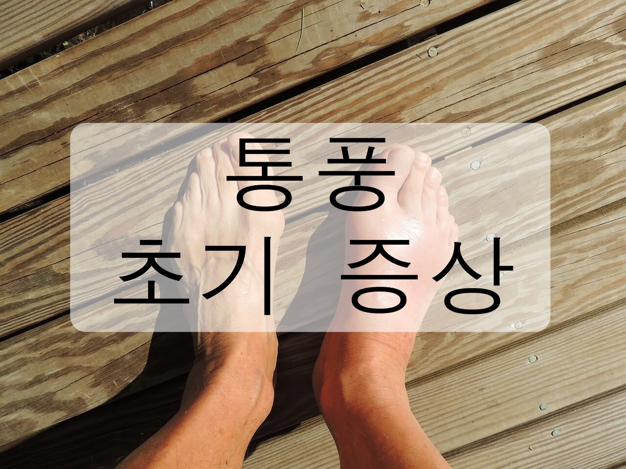  통풍 초기 증상에 대해 알아보자!