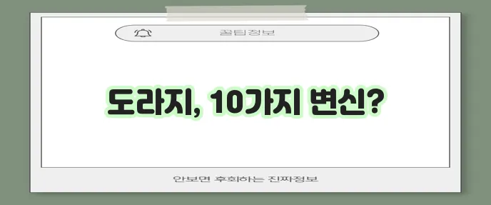몸에 좋은 도라지 요리 10가지 방법 알아봅시다!