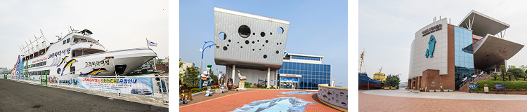  울산 장생포 고래문화특구 , 아이와 가볼 만 한 곳
