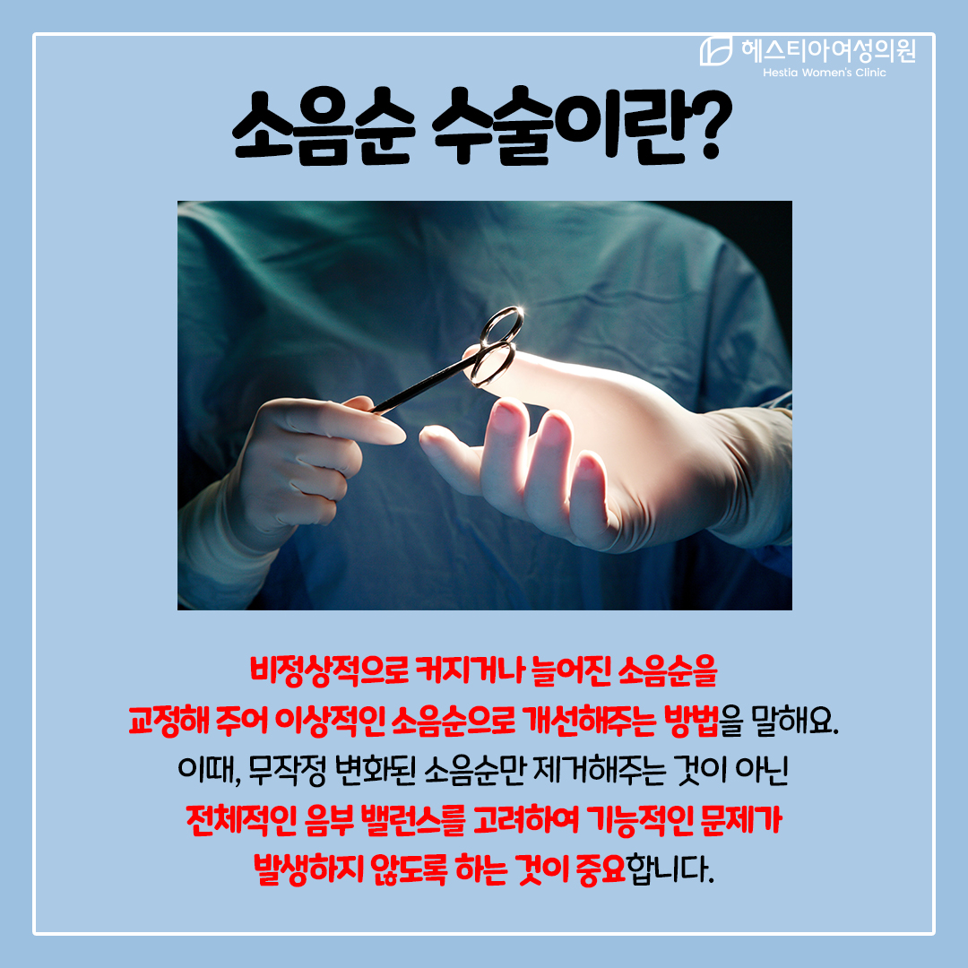 소음순염증
소음순수술
소음순변형 수술은?