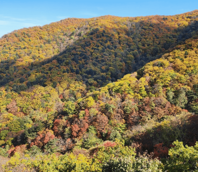 평창단풍명소 발왕산