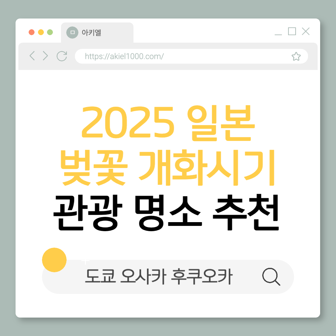 2025 일본 도쿄 오사카 후쿠오카 벚꽃 개화시기 벚꽃 명소