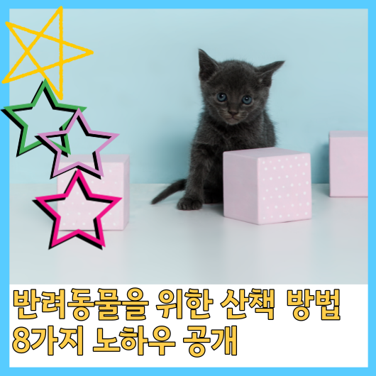  반려동물을 위한 산책 방법 8가지 노하우 공개
