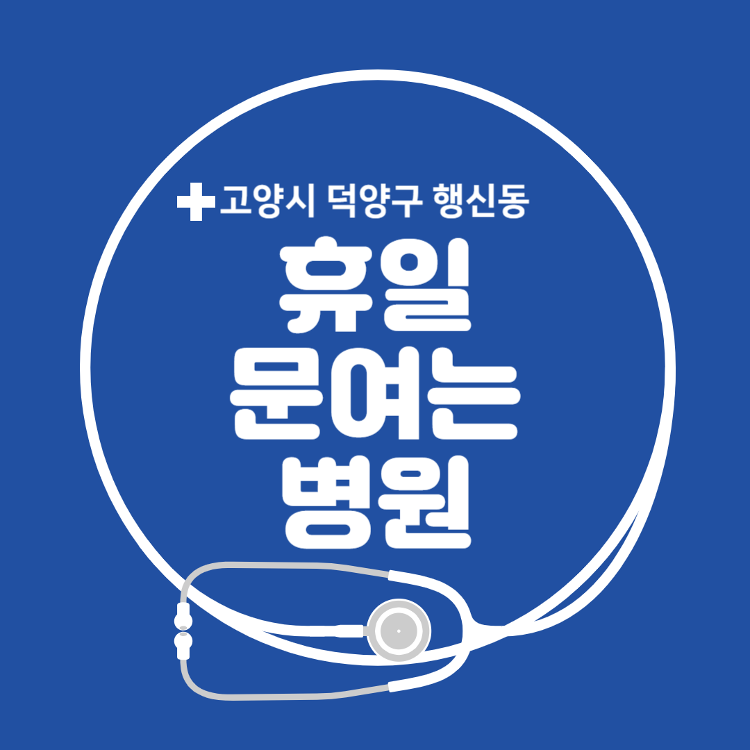 경기도 고양시 덕양구 행신동 일요일 진료 휴일 문 여는 병원