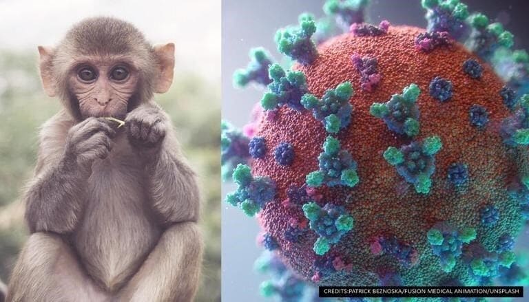 [병든 지구] 중국 촉발 코로나 펜데믹은 영원히 종식되지 않고 이어진다 UNAIDS calls for urgent global response to Monkey Pox Public Health Emergency