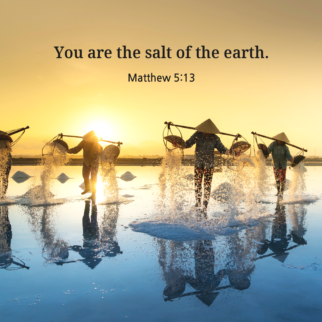 You are the salt of the earth. But if salt loses its taste&#44; with what can it be seasoned? (Matthew 5:13)