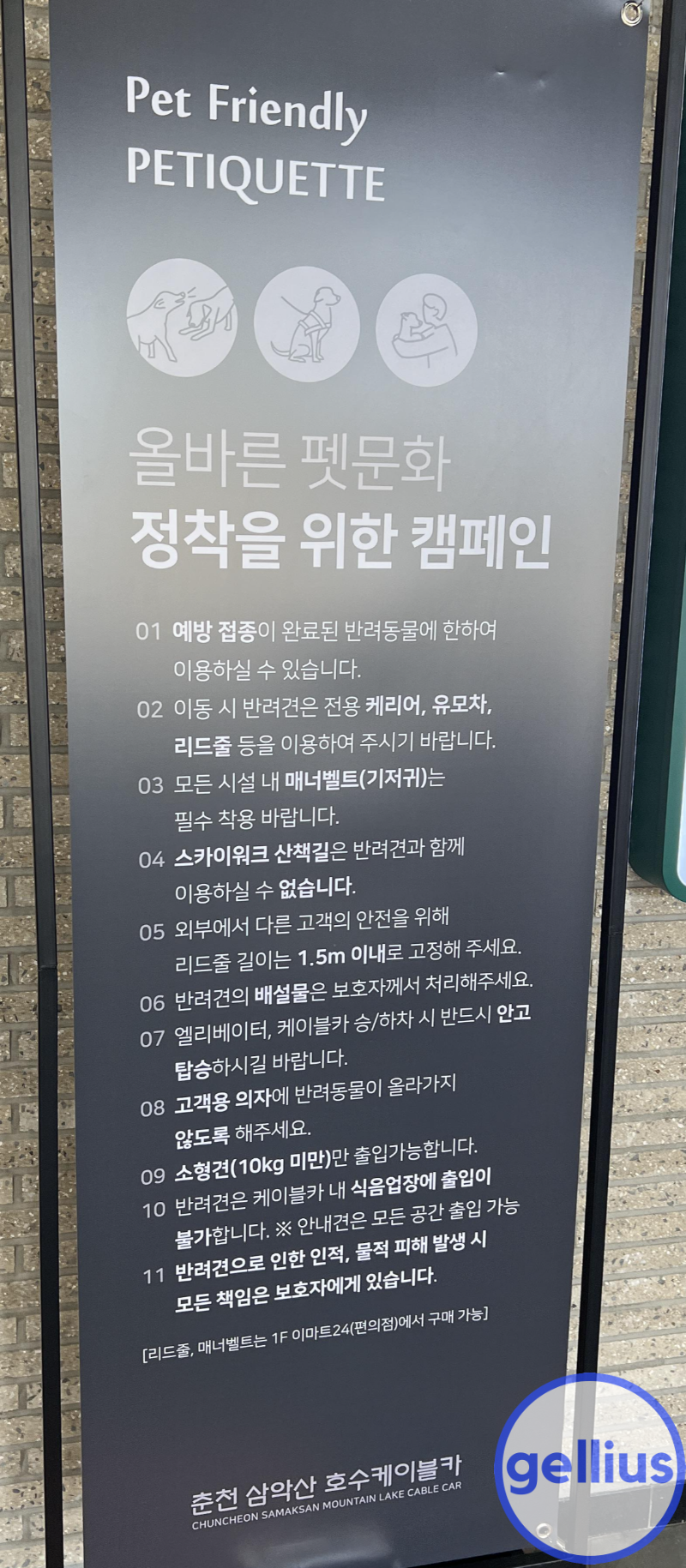 춘천 삼악산 호수 케이블카 애완견 안내