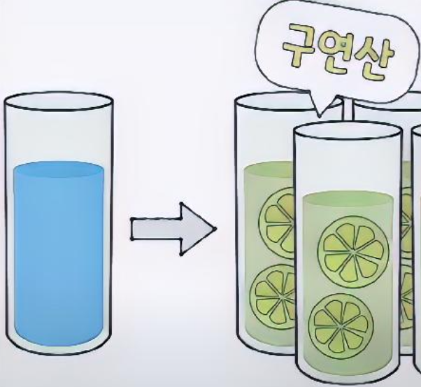 레몬물의 효능 2 - 물 섭취 증가 이유