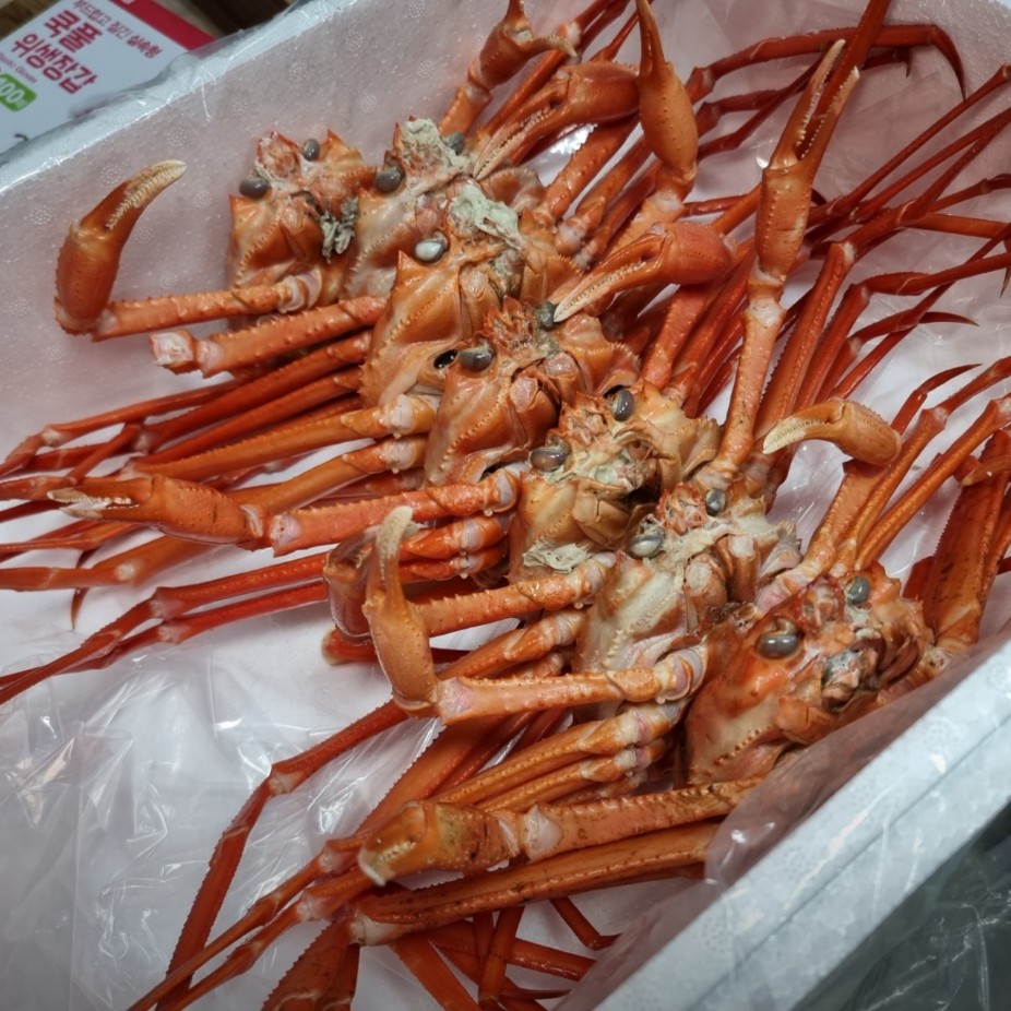 용성수산 이미지
