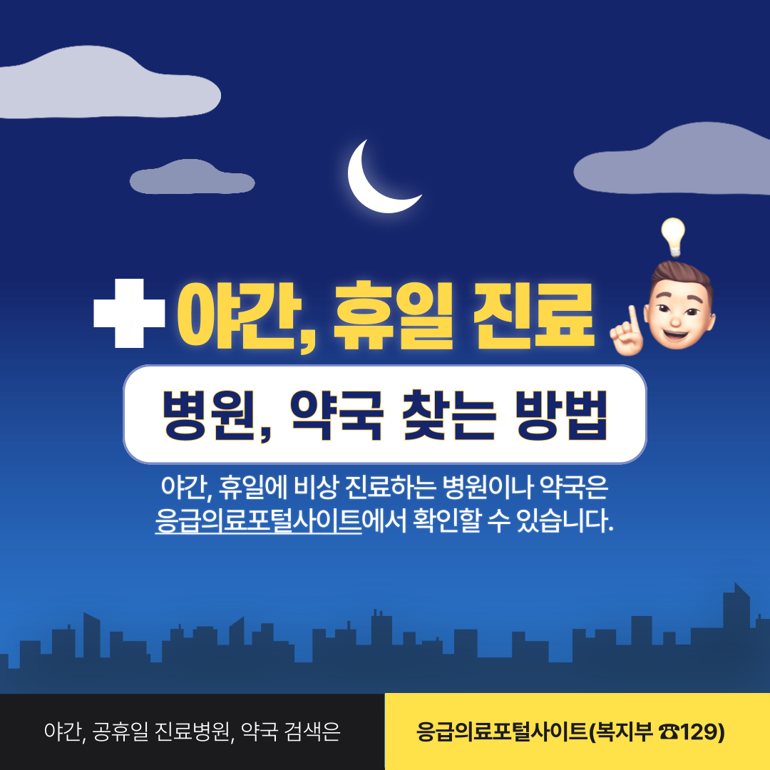  야간, 주말, 휴일, 응급, 비상 진료 병원과 약국 찾는 방법 (PC, 모바일)