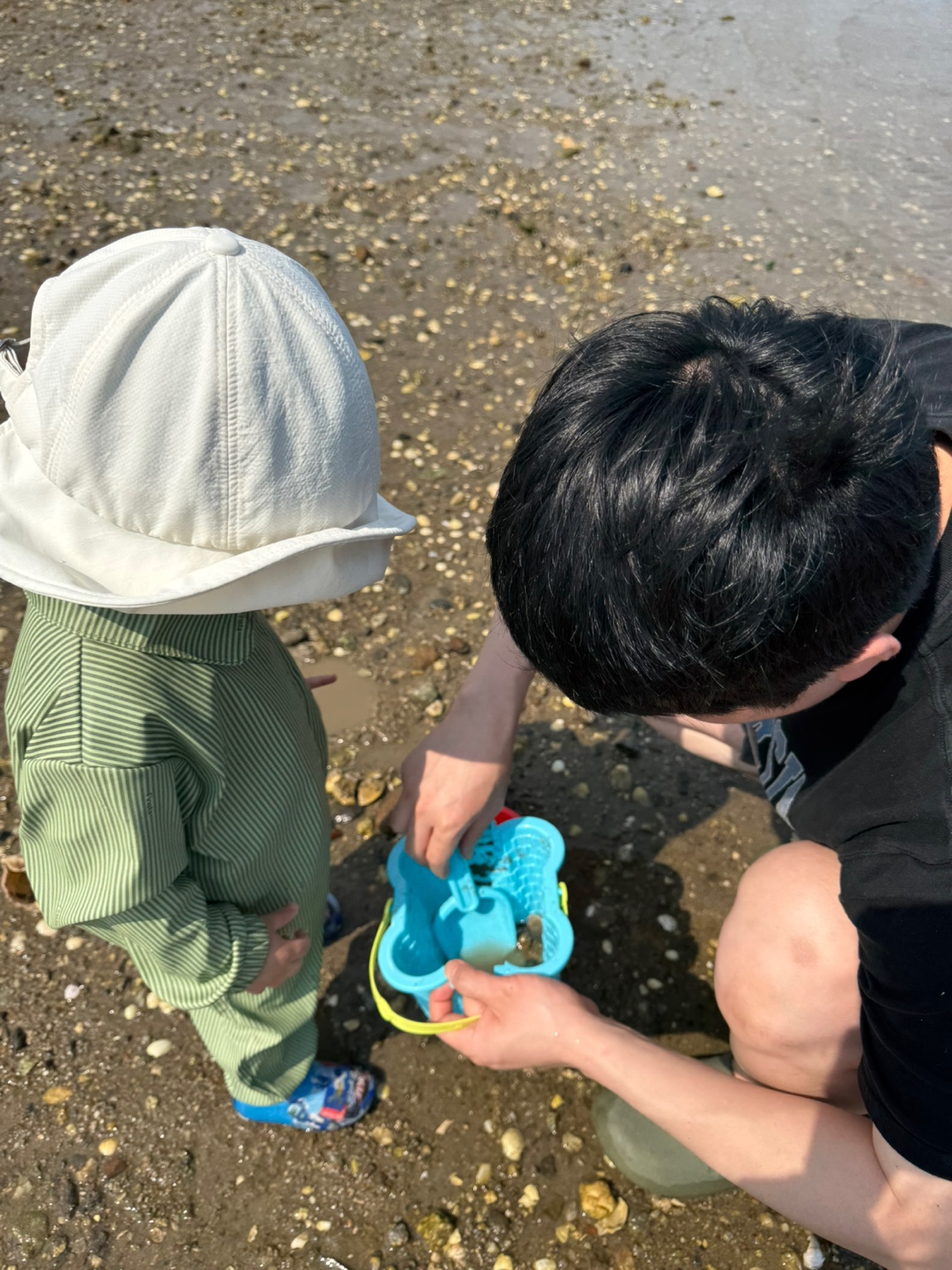 보성다슬기 사진 4